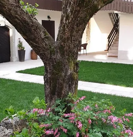 Vidmar Near Bled - Vidmar