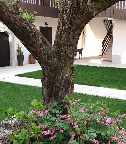 Vidmar Near Bled - Vidmar